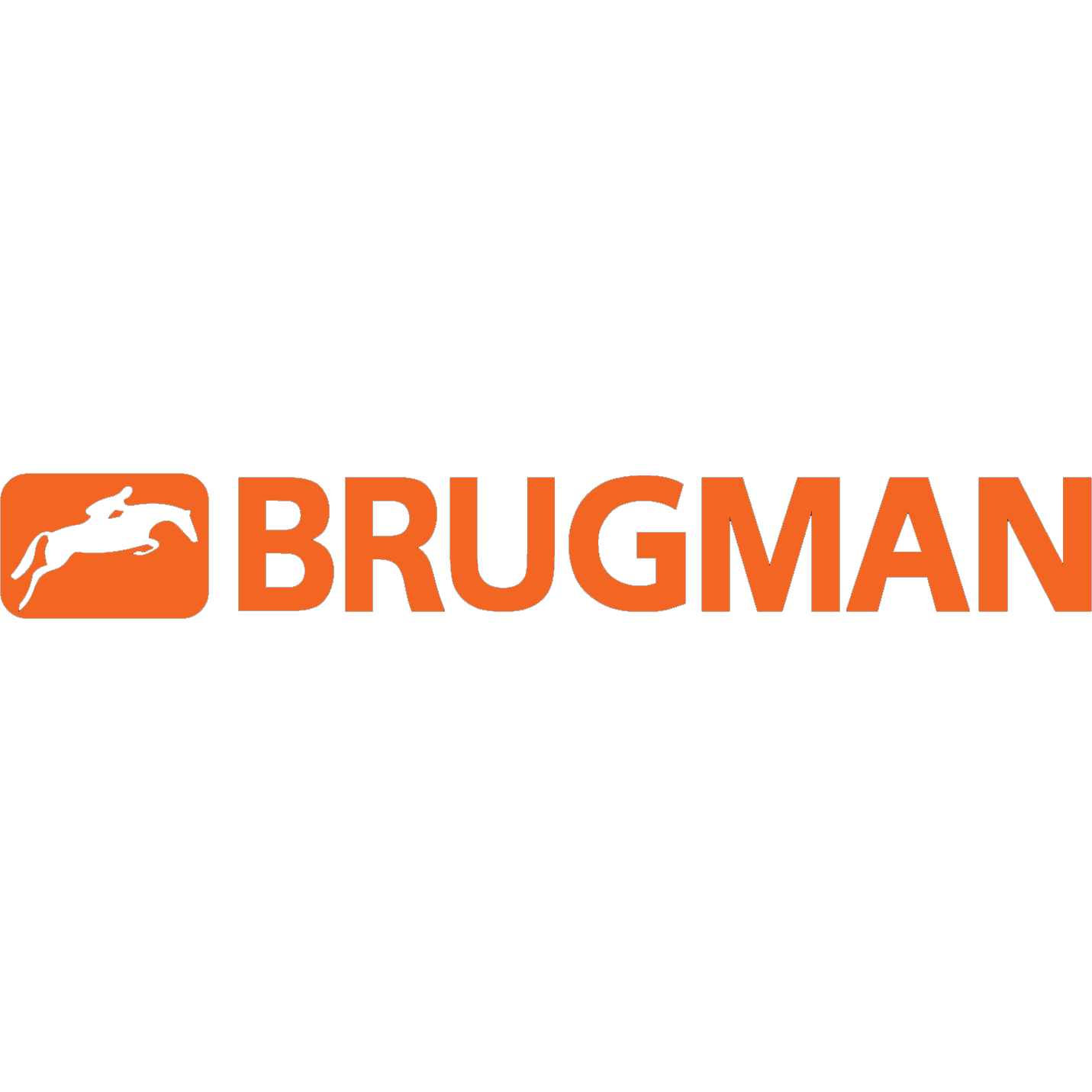 Logo Brugman