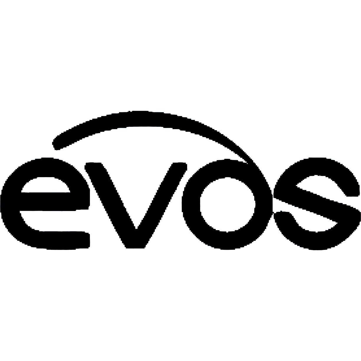Logo Evos