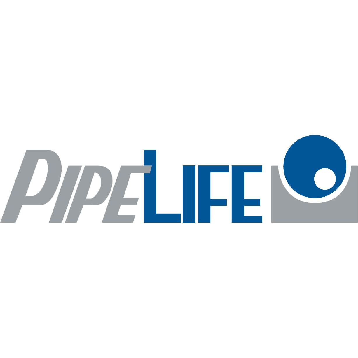 Logo PipeLife