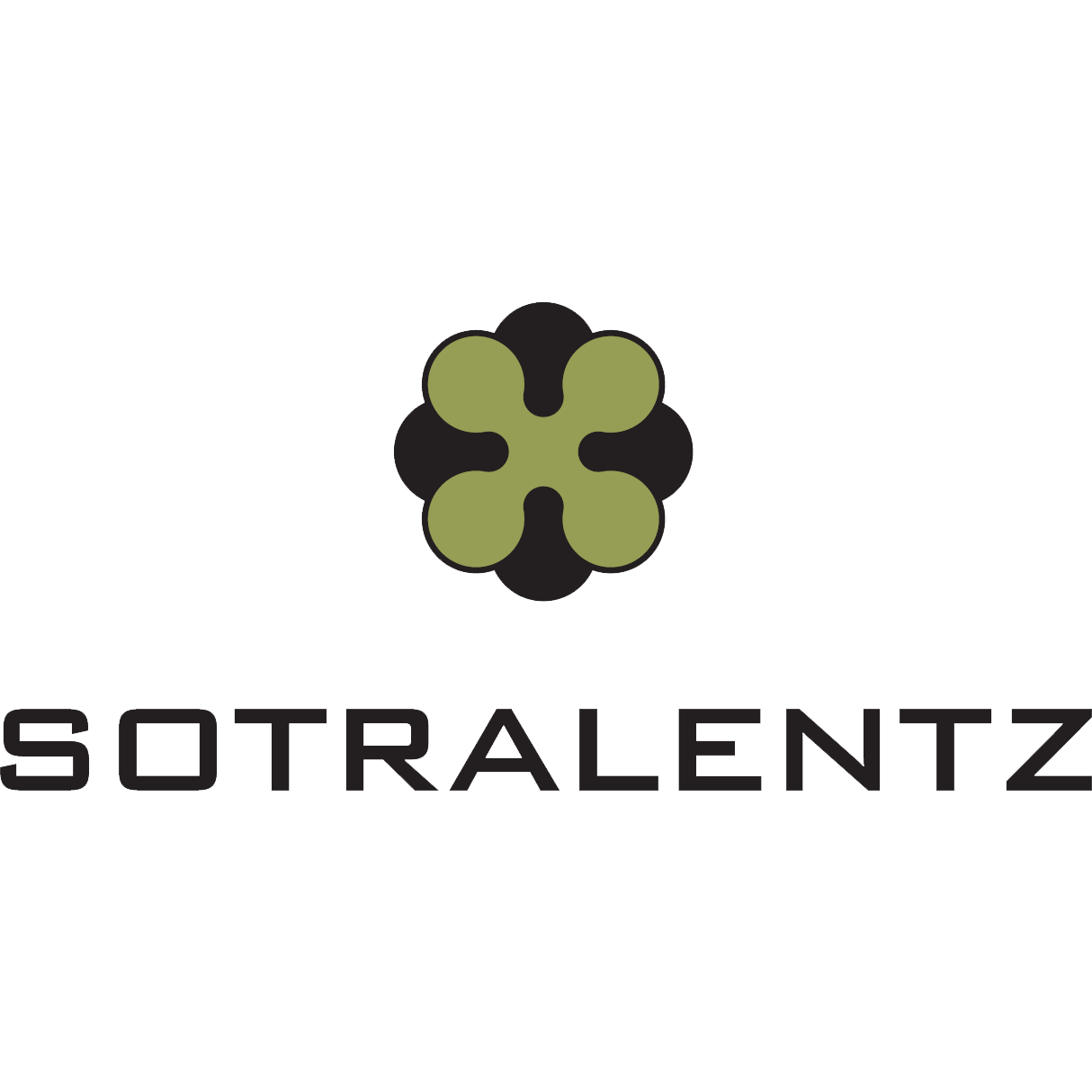 Logo Sotralentz